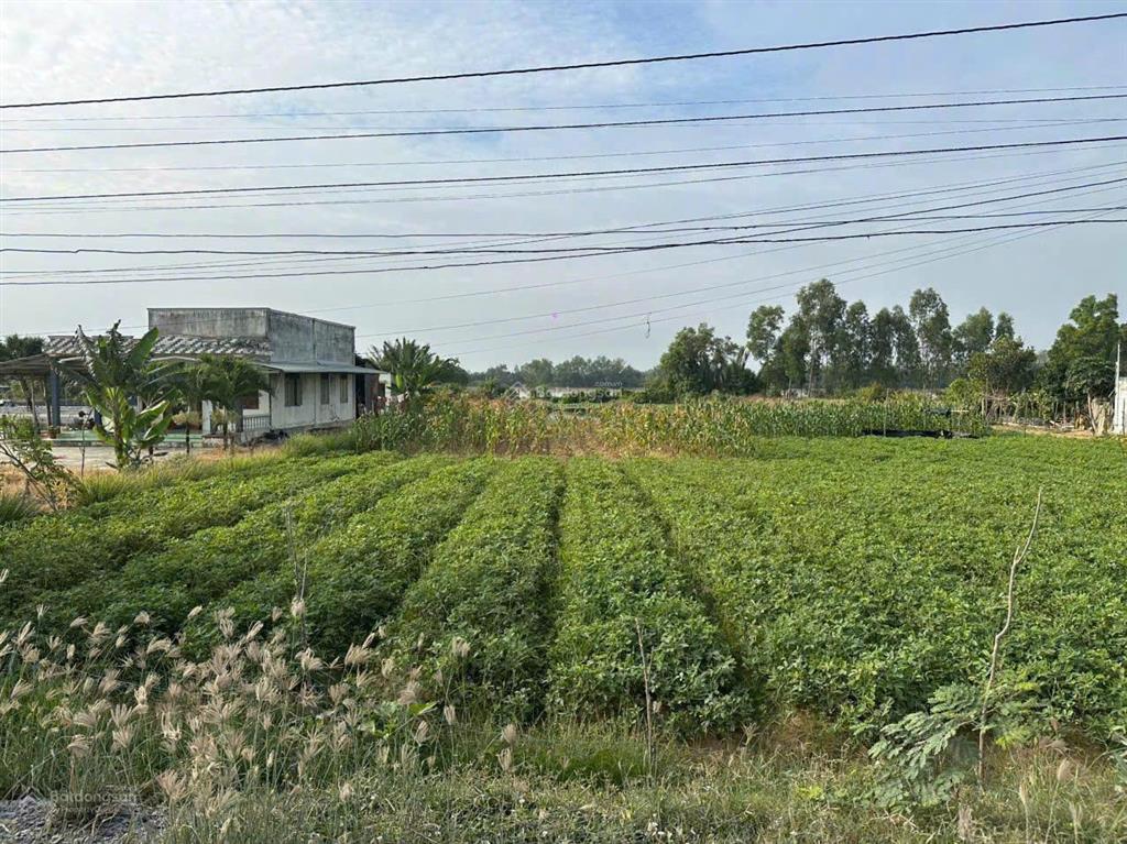 2.927m² đất mặt tiền sông + đường nhựa thổ cư 800m² sẵn | phú thạnh tân phú đông