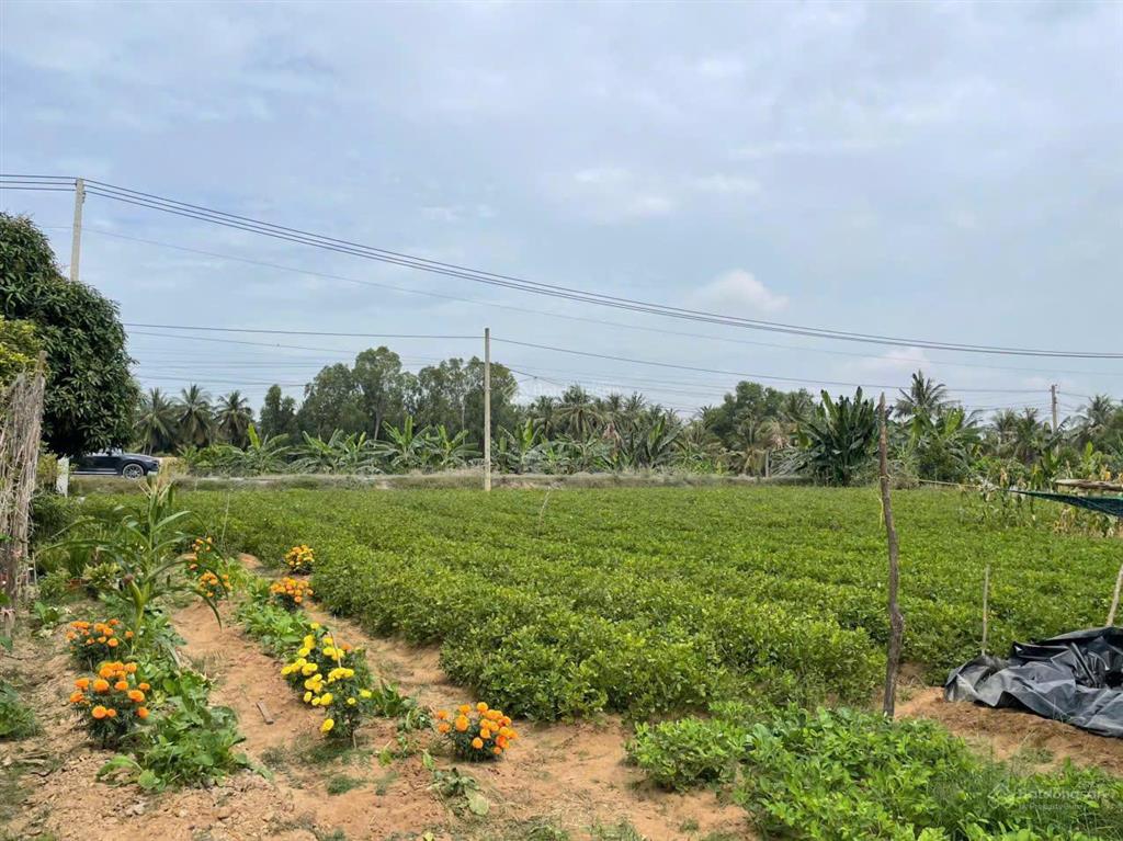 2.927m² đất mặt tiền sông + đường nhựa thổ cư 800m² sẵn | phú thạnh tân phú đông