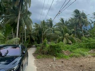 Đất vườn thổ cư giáp rạch tự nhiên giá rẻ tân phú đông 170m² chỉ 260 triệu, sổ sẵn