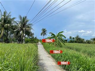 Đất thổ cư 115m² giá 180 triệu cù lao tân phú đông, ô tô vào tận nơi