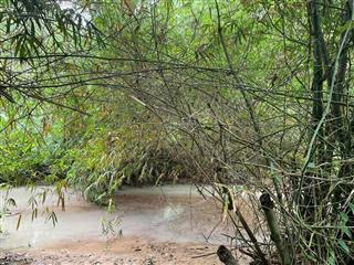 180 triệu / dt 2.700m đất nông nghiệp  giáp suối  giá rẻ tại phú yên