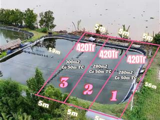 Đất vườn view sông tiền giang 300m² có thổ cư, bao san lấp đẹp, giá 420 triệu