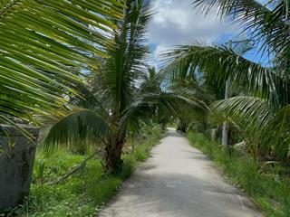 199 triệu đất thổ cư cù lao tân phú đông, sổ hồng riêng