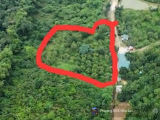 Bán 1800m2 đất view thoáng, trên đất được trồng nhiều loại cây ăn quả tại tiến xuân, giá 6,xtr/m2