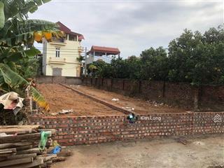 Chính chủ bán đất mỹ nội  bắc hồng, dt 144m2, mt 4m, bìa làng cạnh đường 17,5m, cạnh vin bắc hồng