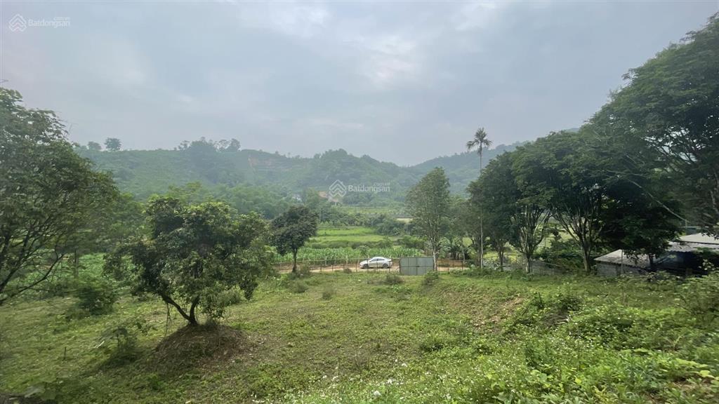 Chuyển nhượng 1206m2 đất thổ cư huyện lương sơn