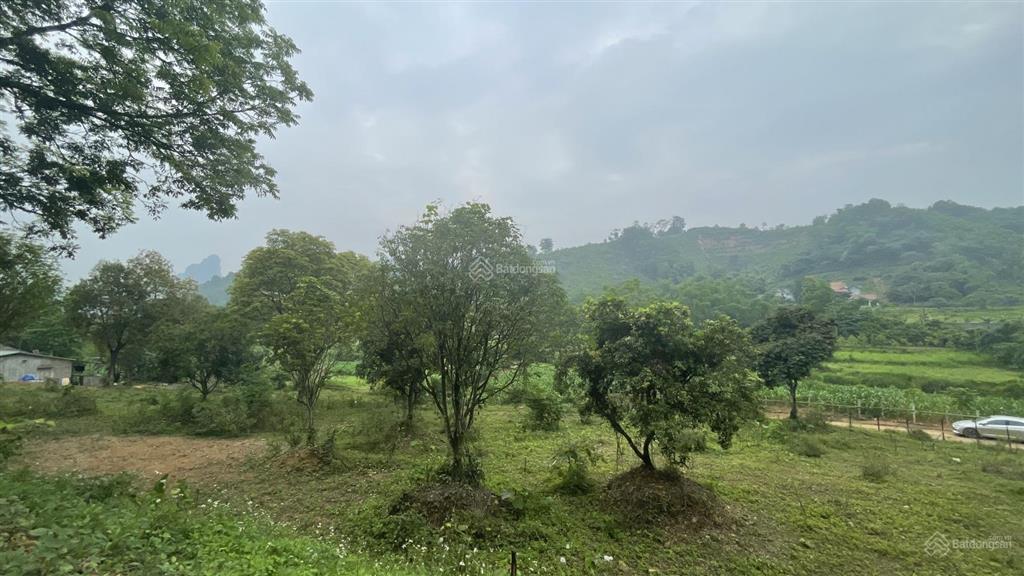 Chuyển nhượng 1206m2 đất thổ cư huyện lương sơn