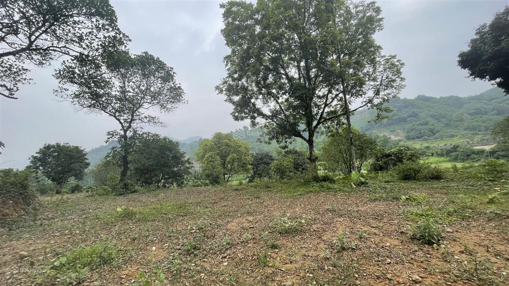 Chuyển nhượng 1206m2 đất thổ cư huyện lương sơn