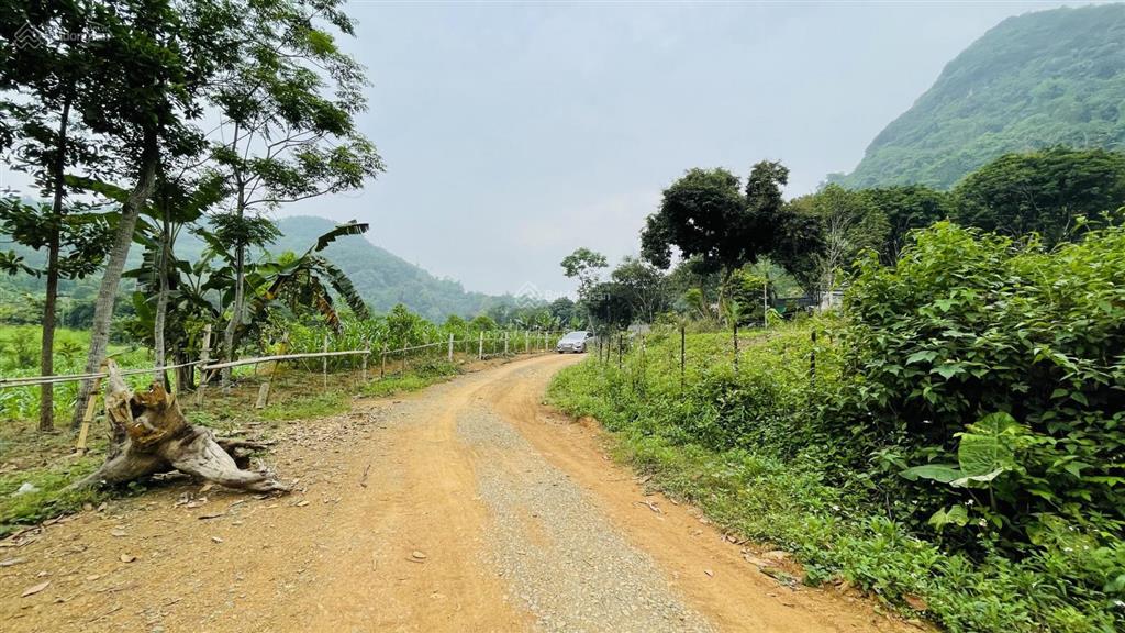 Chuyển nhượng 1206m2 đất thổ cư huyện lương sơn