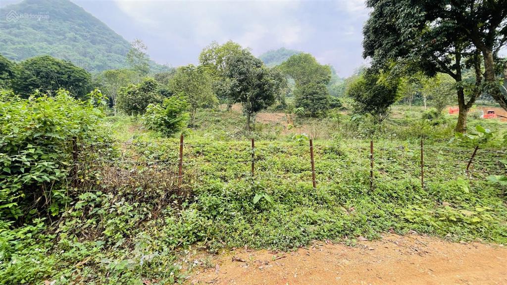 Chuyển nhượng 1206m2 đất thổ cư huyện lương sơn