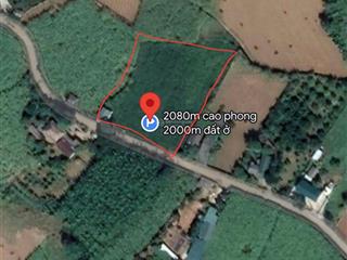 Chính chủ gửi bán lô đất đẹp hiếm có full thổ cư tại cao phong, hoà bình