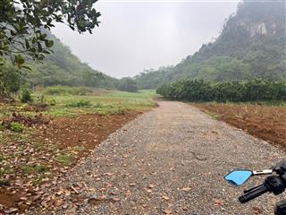Bán 1,3ha đất tại kim bôi, hoà bình giá rẻ