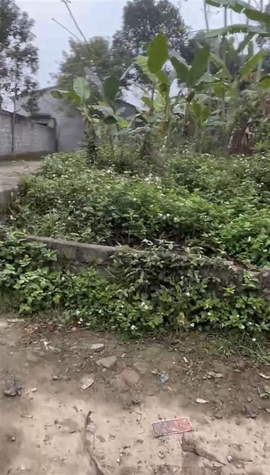 Cần bán gấp 92m2 đất tại thị trấn đà bắc, nay là phú thọ