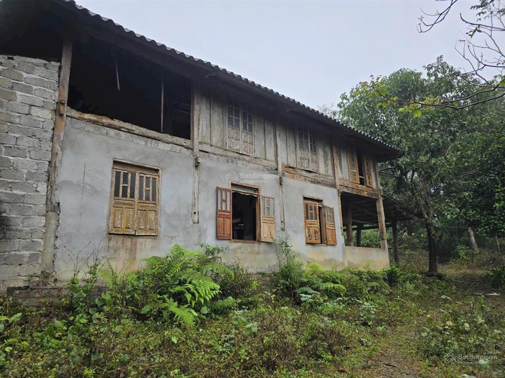 Siêu phẩm nghỉ dưỡng tại tân lạc, hoà bình (nay phú thọ)