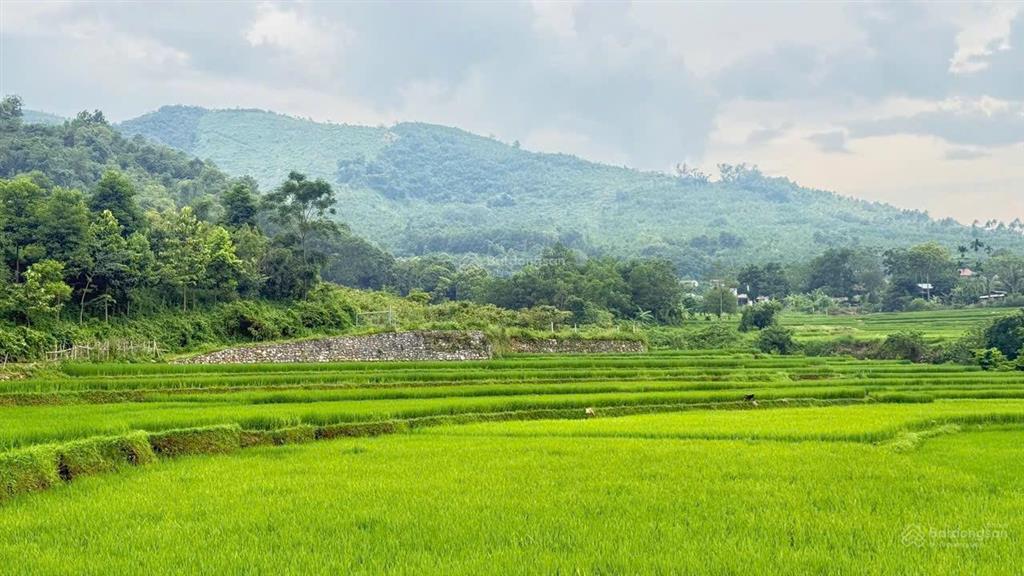 Chuyển nhượng 2.5ha view đẹp bám suối tại lương sơn  hoà bình