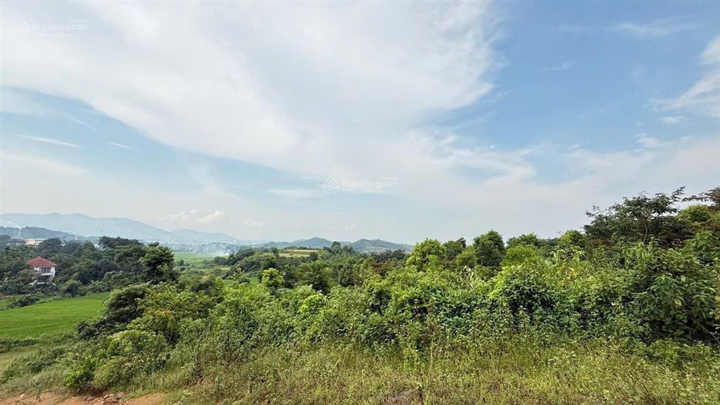 Chuyển nhượng 2.5ha view đẹp bám suối tại lương sơn  hoà bình