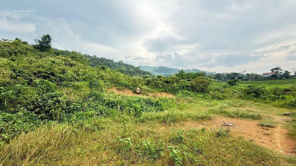 Chuyển nhượng 2.5ha view đẹp bám suối tại lương sơn  hoà bình