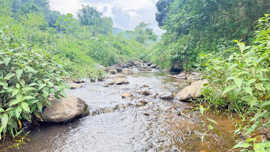 Chuyển nhượng 2.5ha view đẹp bám suối tại lương sơn  hoà bình