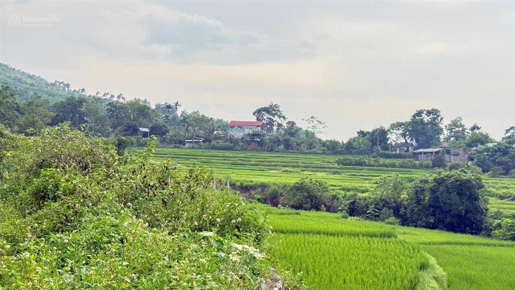 Chuyển nhượng 2.5ha view đẹp bám suối tại lương sơn  hoà bình