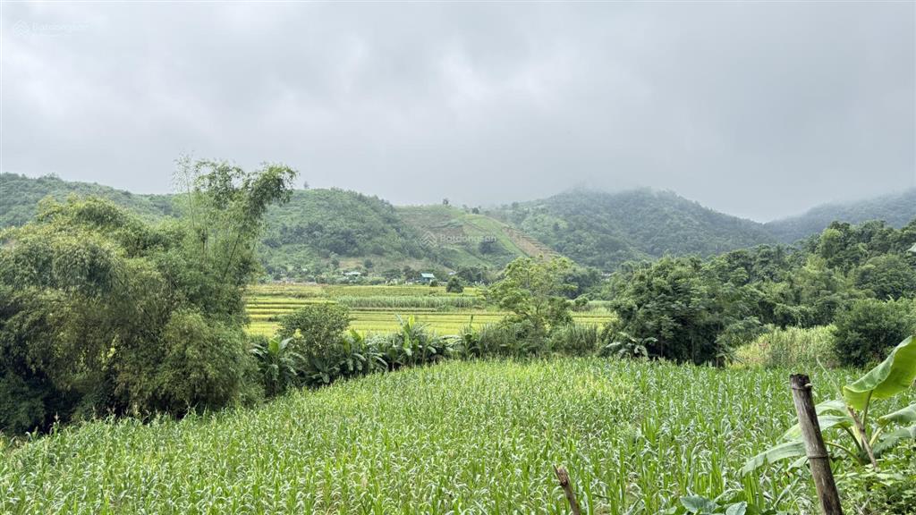 Bán đất đẹp mặt đường rộng 70m tại cao phong, hoà bình (nay là phú thọ)