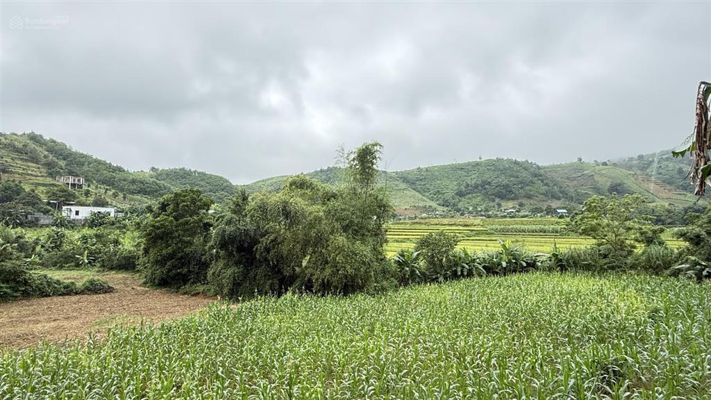 Bán đất đẹp mặt đường rộng 70m tại cao phong, hoà bình (nay là phú thọ)