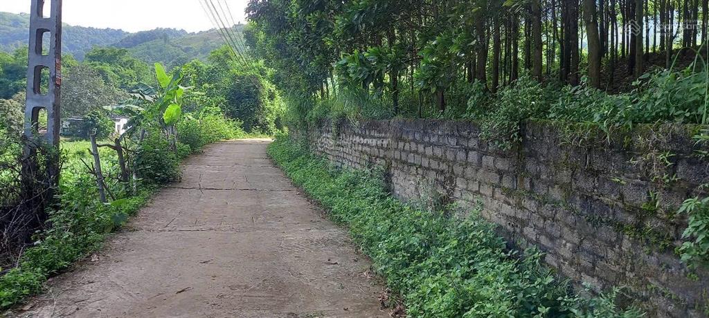 Bán đất đẹp mặt đường rộng 70m tại cao phong, hoà bình (nay là phú thọ)