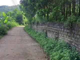 Bán đất đẹp mặt đường rộng 70m tại cao phong, hoà bình (nay là phú thọ)
