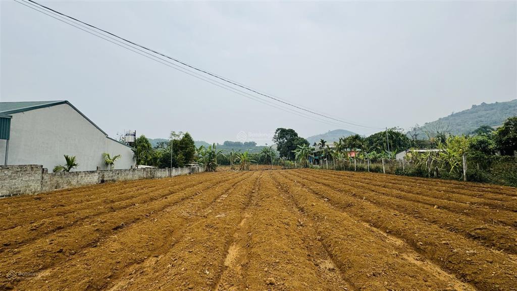 Cơ hội đầu tư vị trí đất đẹp tiềm năng, tại cao phong, hoà bình