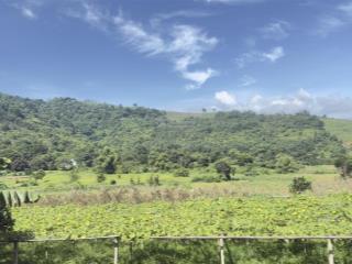 Bán gấp đất phường kỳ sơn, tp hòa bình, nay là phú thọ