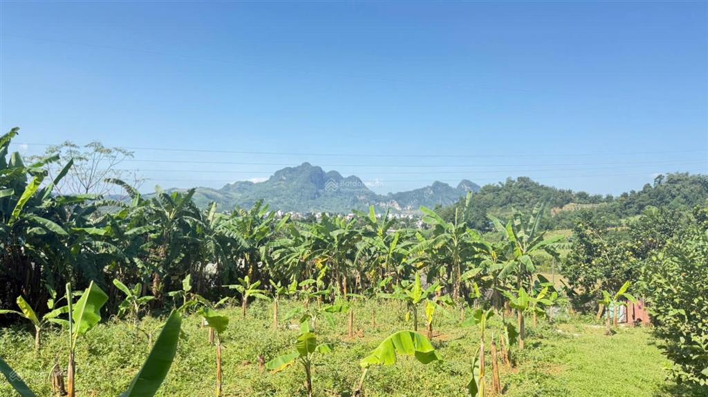 Bán gấp lô đất vị trí đẹp tại cao phong,
cách ql6 chỉ 1km