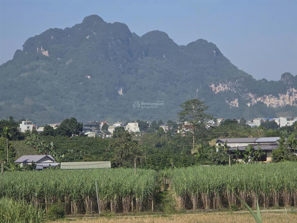 Bán gấp lô đất vị trí đẹp tại cao phong,
cách ql6 chỉ 1km