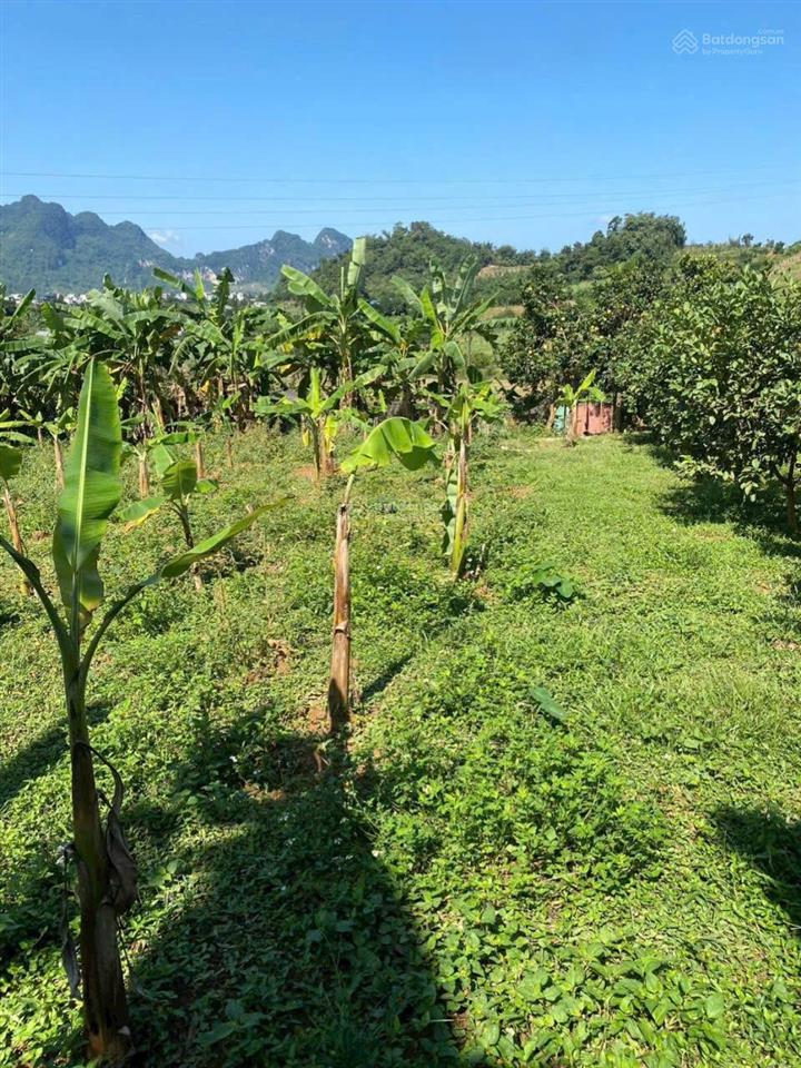 Bán gấp lô đất vị trí đẹp tại cao phong,
cách ql6 chỉ 1km