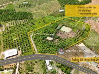 Bán farm diên thọ diện tích lớn 16,240m2 giá 425ngàn/m2 tổng tiền 6tỷ900tr cách ql 27 100m