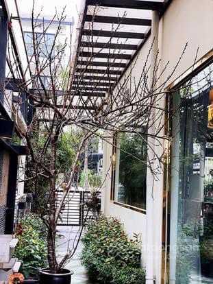 Năng hải villas  xác thực chính chủ  cần bán nhanh bt song lập, full đồ 23 tỷ.  0973 931 ***