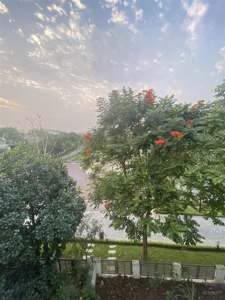 Chính chủ bán nhanh lô góc btsl 183m2, full đồ rời giá 28 tỷ.  0973 931 ***  năng hải villas