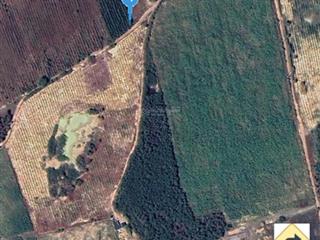 Bán lô đất 3.5 sào cách quốc lộ 55 chỉ 550m ở tân hà, hàm tân cũ (xã hàm tân, tỉnh lâm đồng mới)