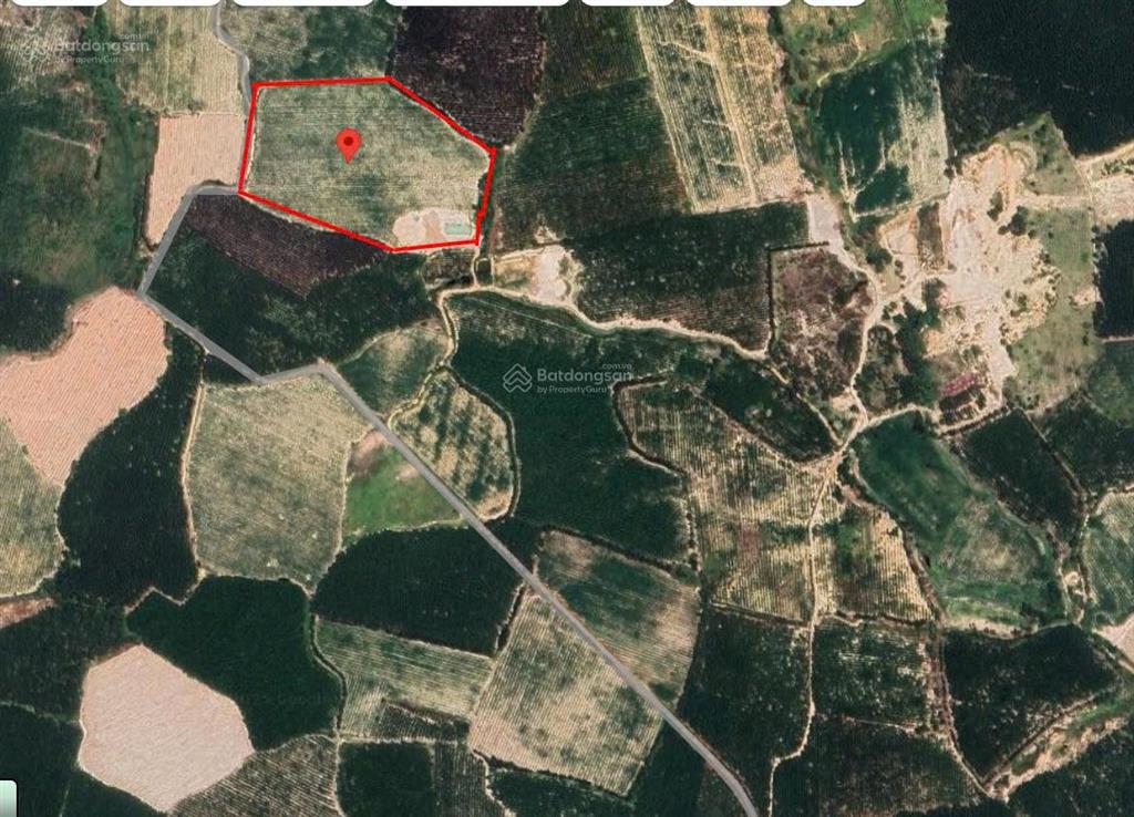 Bán 3 mẫu đất cuối đường lê đức thọ  giá tốt