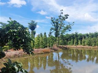 Cần đáo hạn ngân hàng cuối năm bán gấp đất view hồ suối giá 2.850 tỷ đăk wer, đăk nông