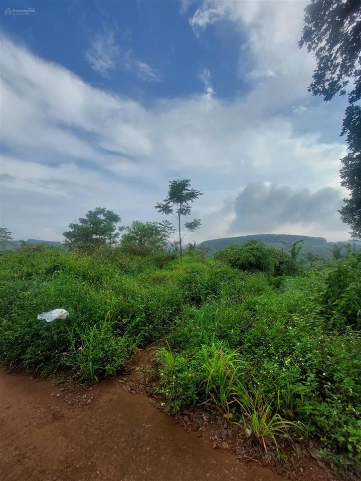 Cần bán gấp cuối năm giảm giá sâu 50% để trả nợ, đất đắk rlấp, tỉnh đắk nông (cũ), giá rẻ bán ngay