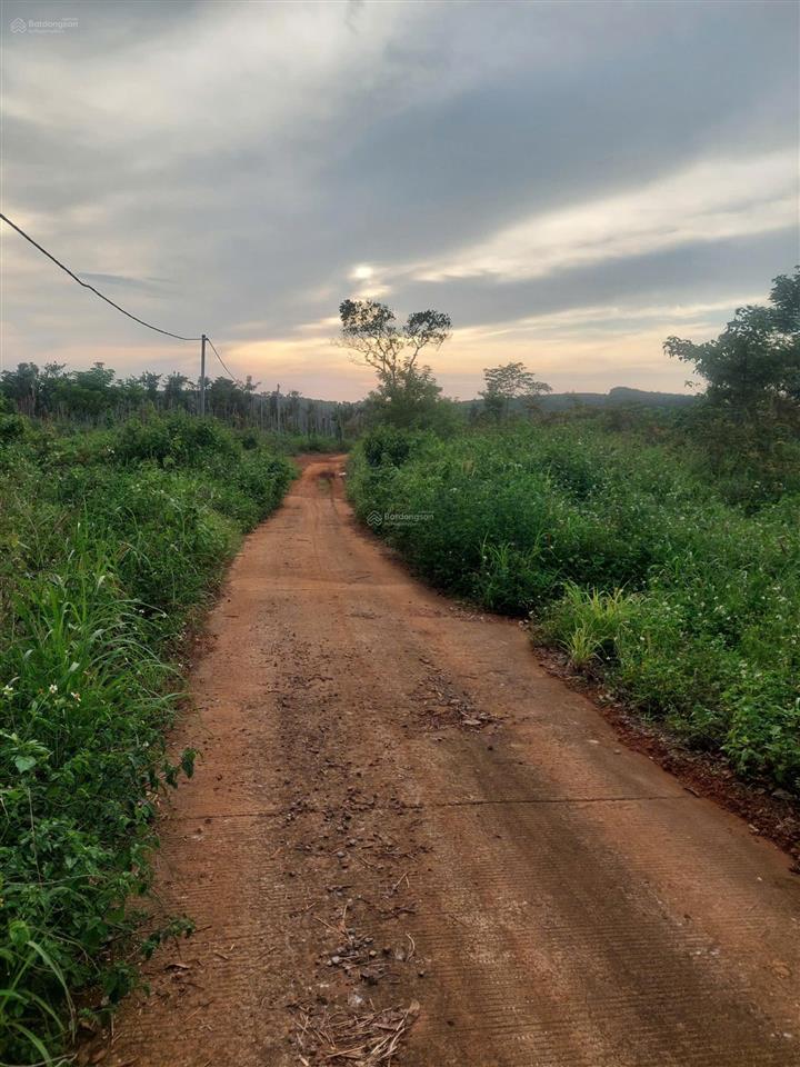 Cần bán gấp cuối năm giảm giá sâu 50% để trả nợ, đất đắk rlấp, tỉnh đắk nông (cũ), giá rẻ bán ngay