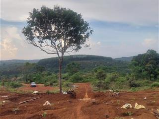 Cần bán gấp cuối năm giảm giá sâu 50% để trả nợ, đất đắk rlấp, tỉnh đắk nông (cũ), giá rẻ bán ngay