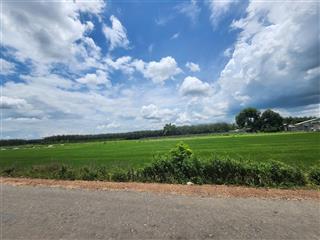 Bán đất đẹp, giá rẻ ngay trung tâm xã chà là  dương minh châu tây ninh