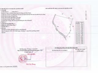 Bán vườn điều đang thu hoạch tại xã bình minh, gần 2.3ha, giá 1,2 tỷ/ha, chính chủcó bớt lộc