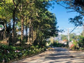 Bán gấp đất 2 mặt tiền trịnh hoài đức, p11, đà lạt view trọn thành phố 1488m2, giá chỉ 77.3 tỷ tl