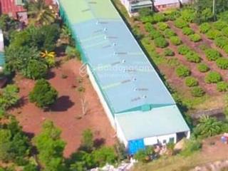 Cho thuê kho xây sẵn diện tích 1500m2  krong pac  dak lak