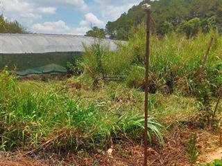 Cần bán hơn 64m2 đất, sổ phân quyền, thuộc làng hoa vạn thành, đà lạt. giá chỉ 550tr.