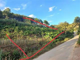 Chính chủ bán đất nam ban  823m² có 200m² thổ cư, view suối cam ly  giá chỉ 2,25 tỷ.