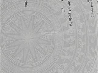 Bán nhà 2 tầng đường nguyễn hữu thọ giá đầu tư, mặt tiền kinh doanh đắc địa