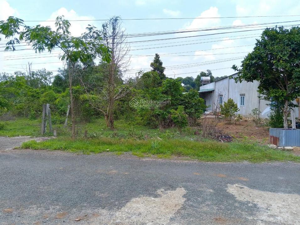 Chủ cần tiền đất đẹp 260m², thổ cư sẵn giá rẻ hơn thị trường