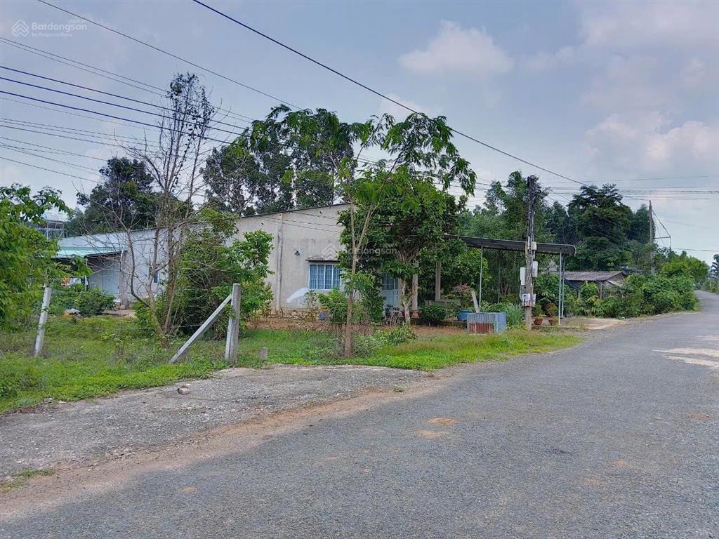 Đón đầu cao tốc giá còn rẻ! đất trung tâm hắc dịch tiềm năng tăng gấp đôi